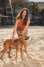 Load image into Gallery viewer, Image 14: Rio De Sol Bottom Bottom Maracai Essential
